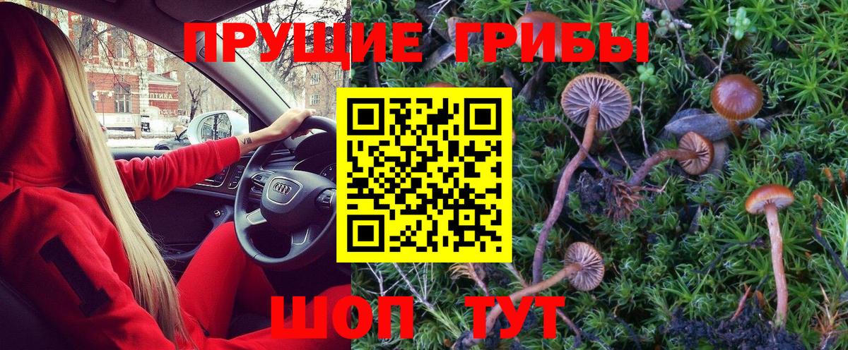 Псилоцибиновые грибы MAGIC MUSHROOMS Усолье-Сибирское
